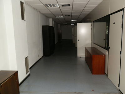 1099 ofi 1 opt