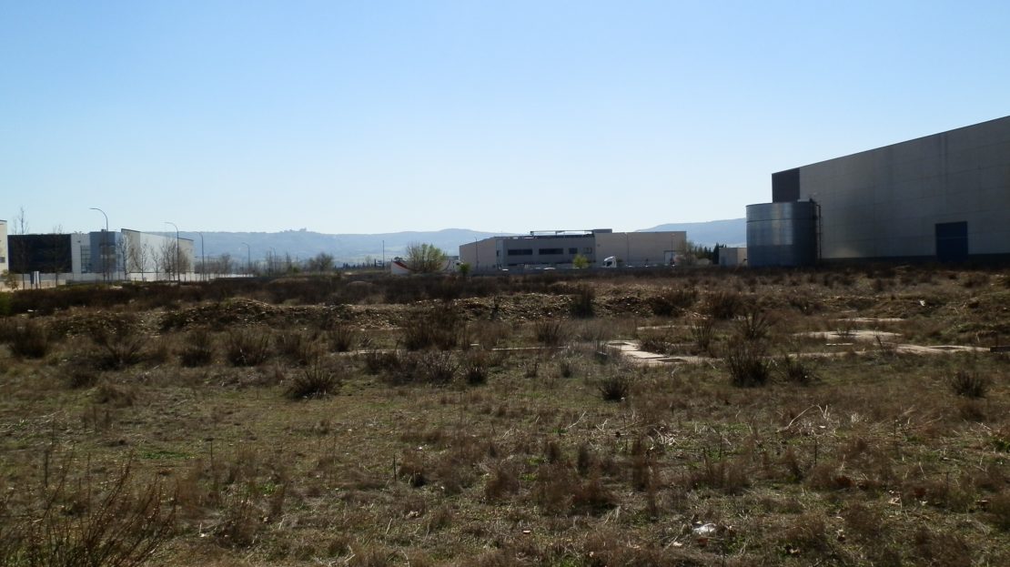 solar copia