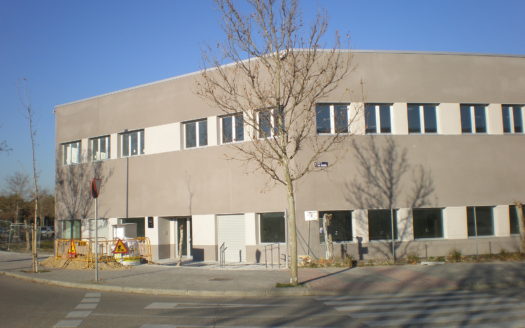 P1010009