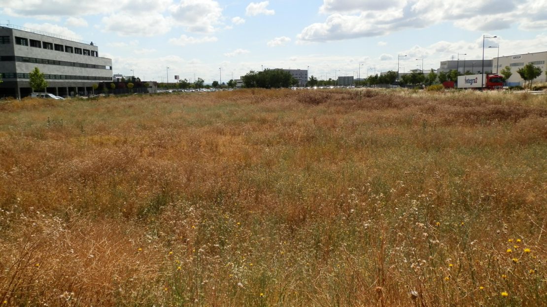 solar en alquiler en mostoles